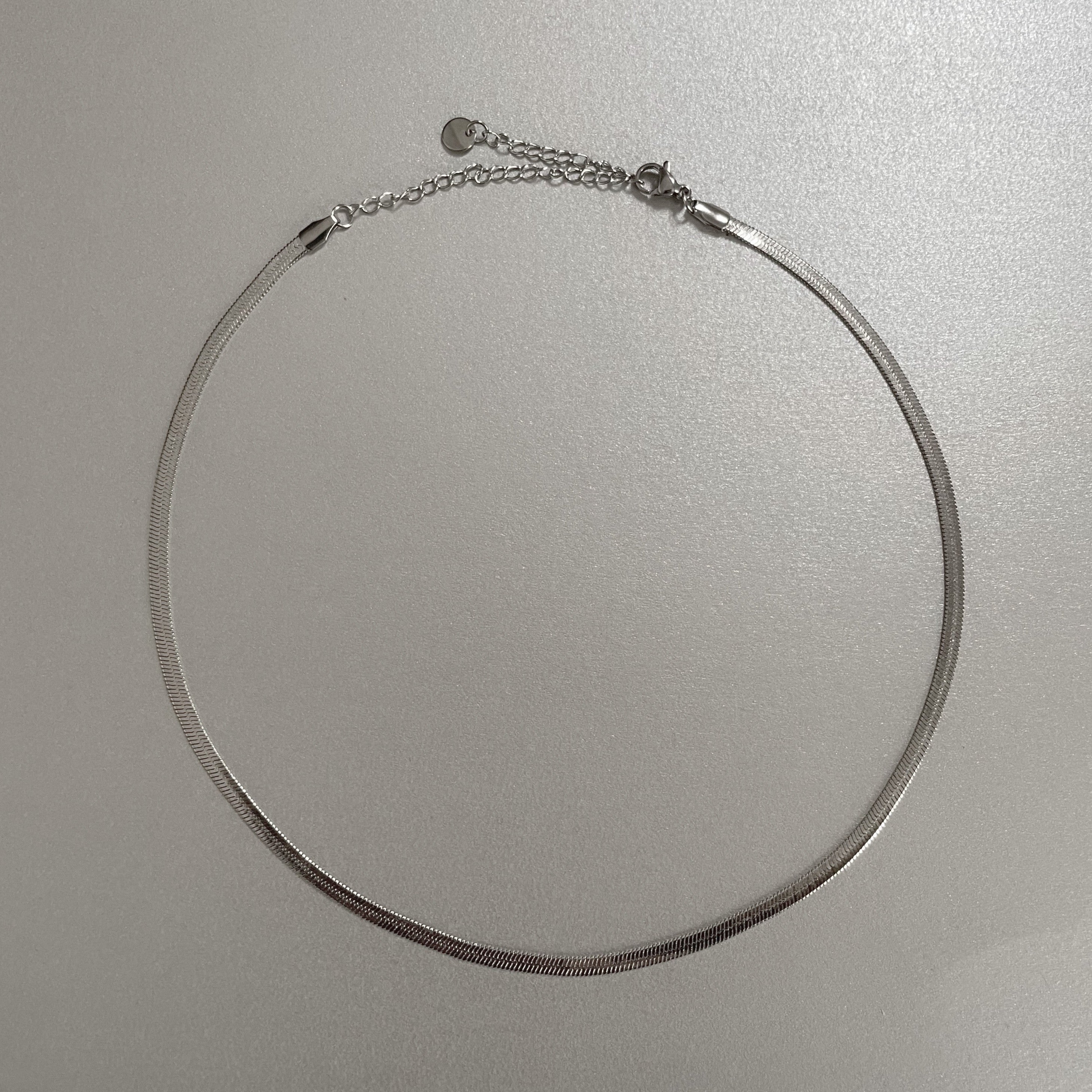 Catalina Luxe Silver Choker Necklace