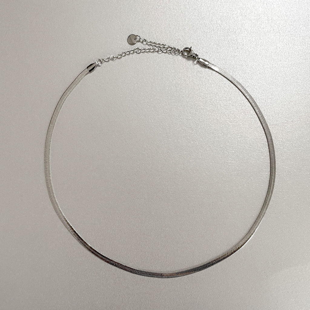 Catalina Luxe Silver Choker Necklace