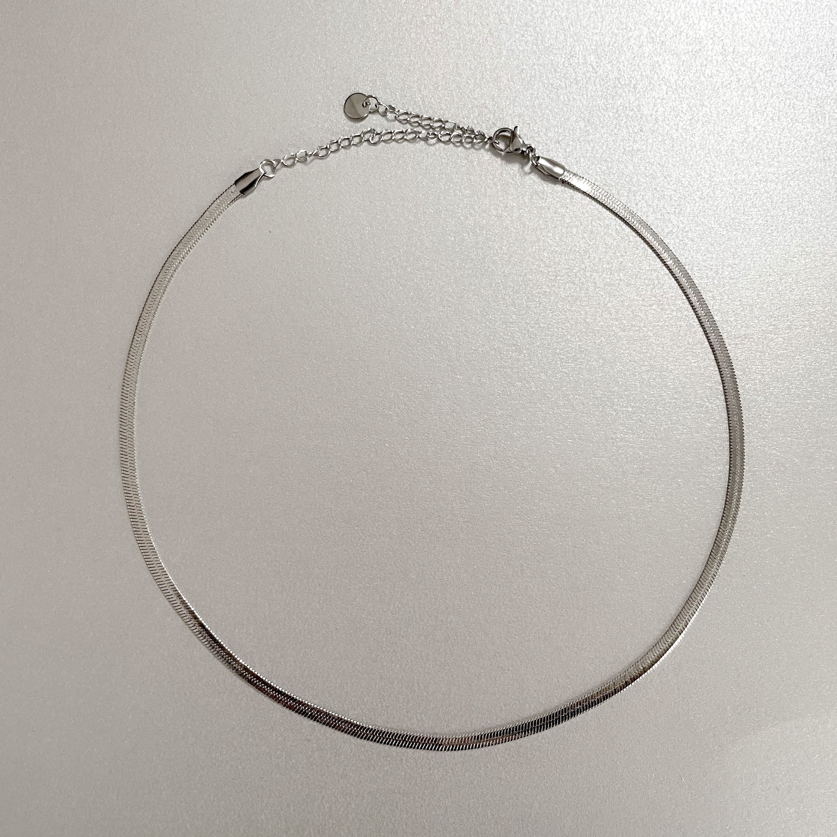 Catalina Luxe Silver Choker Necklace