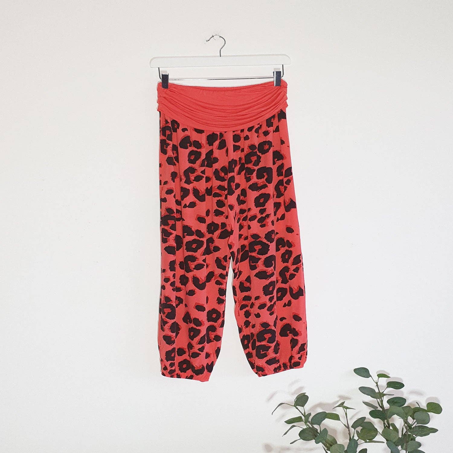 Leopard print hareem style pants with stretchy jersey waistband (O/S): AQUA